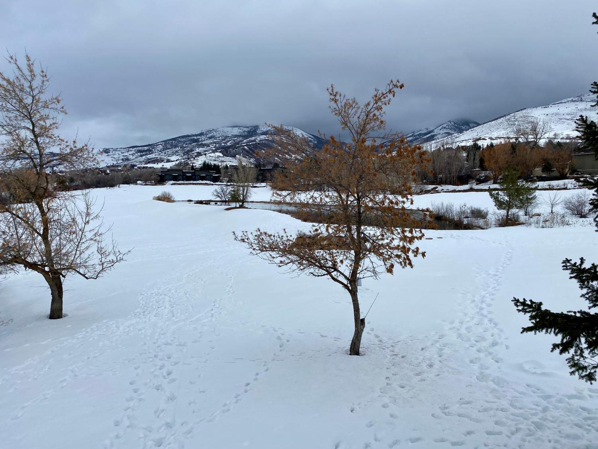 Wolf Creek Lodge Condo In Eden, Ut - Relaxing Mountain Retreat Eksteriør billede